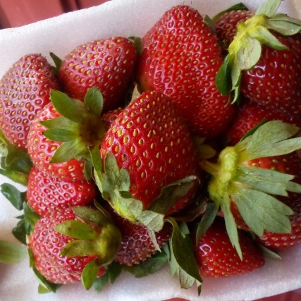 Wish I live where they sell strawbs at the side of the road like they do corn or peanuts.